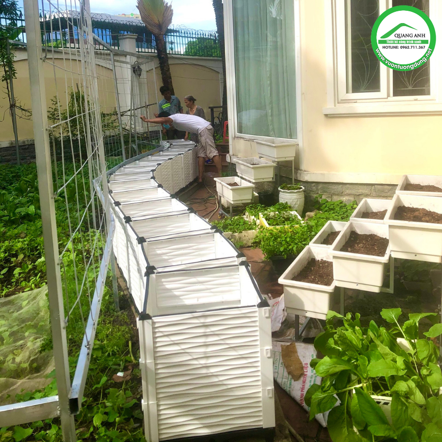 Vườn rau sạch thiết kế độc lạ thi công cho chị khách tại TPHCM Vườn rau sạch thiết kế độc lạ thi công cho chị khách tại TPHCM