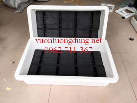Chậu nhựa trồng rau KT 65x42x16cm