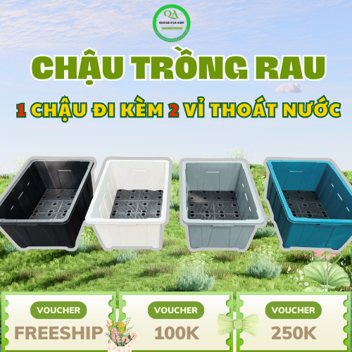 Chậu nhựa hình chữ nhật size lớn kích thước 63x43x30 (70 lít)