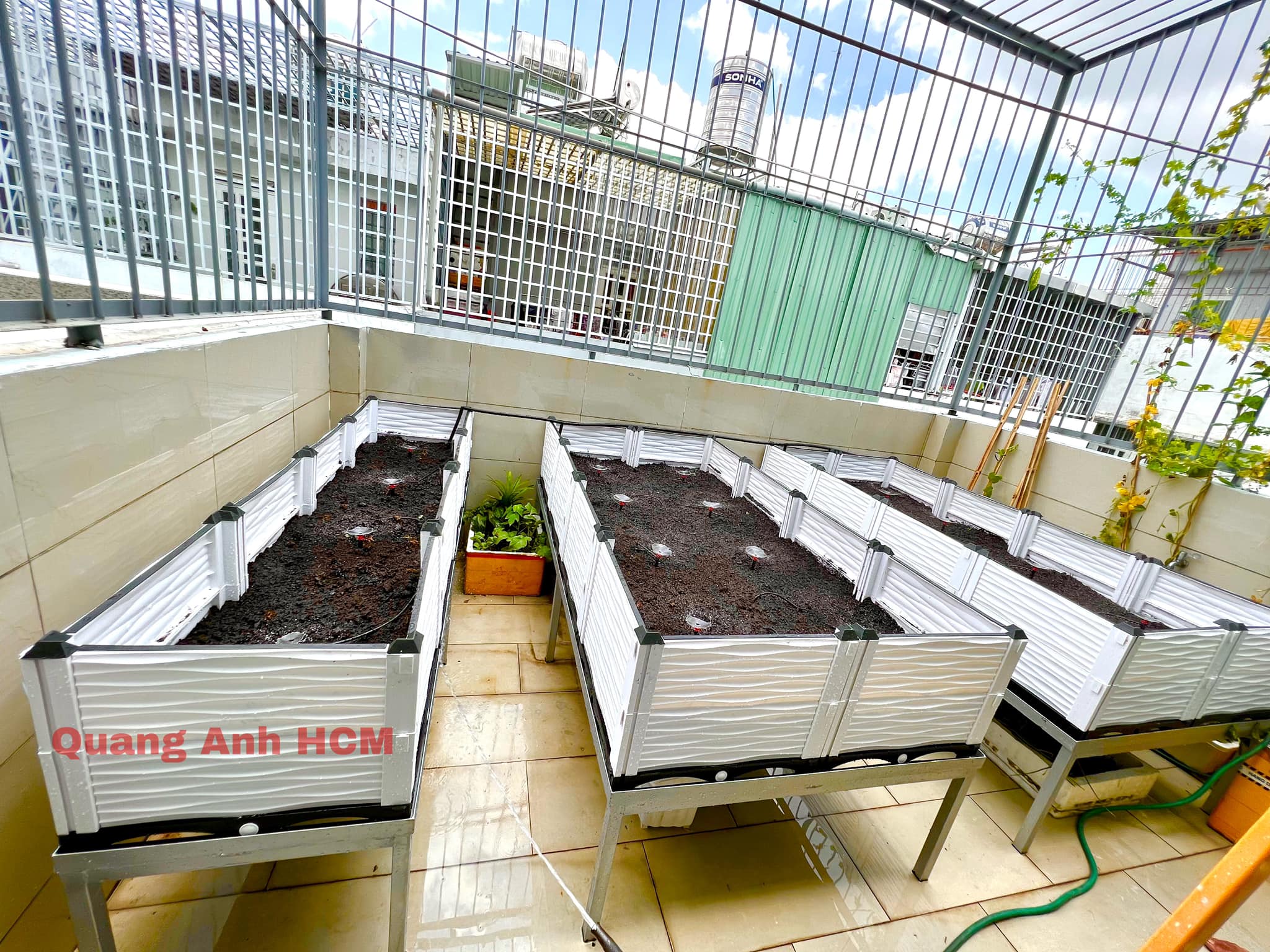 Thi công vườn rau chậu ghép thông minh, hệ thống tưới Quận Bình Thạnh Thi công vườn rau chậu ghép thông minh, hệ thống tưới Quận Bình Thạnh