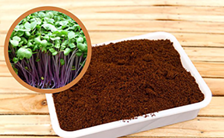 Cách làm đất trồng rau sạch trong thùng sốp và cải tạo đất hiệu quả nhất Cách làm đất trồng rau sạch trong thùng sốp và cải tạo đất hiệu quả nhất