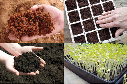 Quang Anh điểm lựa chọn tốt nhất để giúp bạn mua đất trồng rau sạch