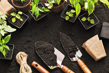 Bán dụng cụ trồng rau sạch tại nhà tphcm giá rẻ và chất lượng Bán dụng cụ trồng rau sạch tại nhà tphcm giá rẻ và chất lượng