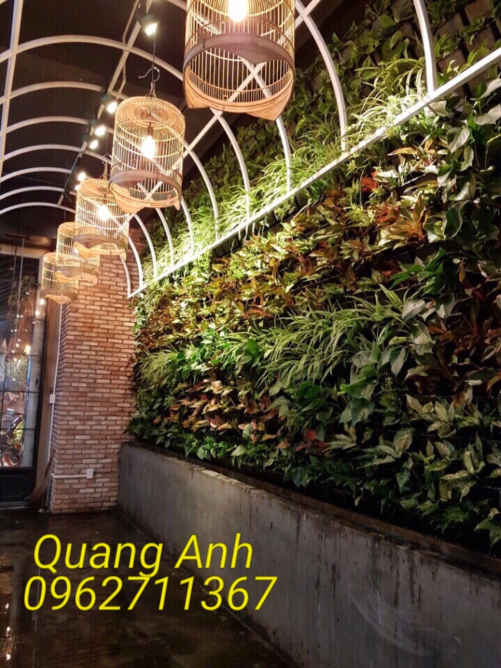 Thiết kế cây trồng trong nhà tại TP HCM đẹp và mang đến tài lộc cho gia đình bạn Thiết kế cây trồng trong nhà tại TP HCM đẹp và mang đến tài lộc cho gia đình bạn