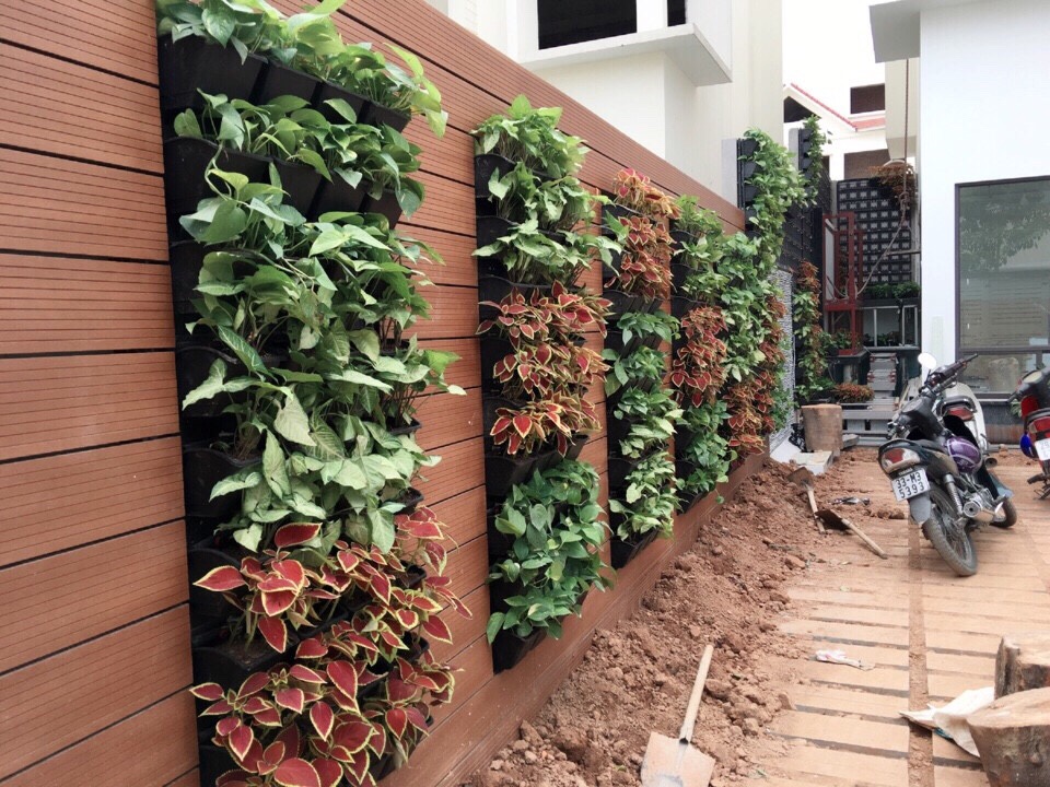 Lý do mọi người chọn Quang Anh là địa chỉ thiết kế mô hình tường đứng