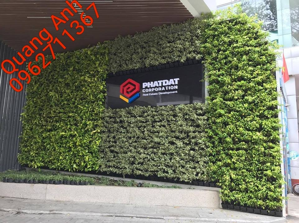Công trình vườn tường đứng tại dự án EverRich Infinity, Quận 5, TP. Hồ Chí Minh Công trình vườn tường đứng tại dự án EverRich Infinity, Quận 5, TP. Hồ Chí Minh