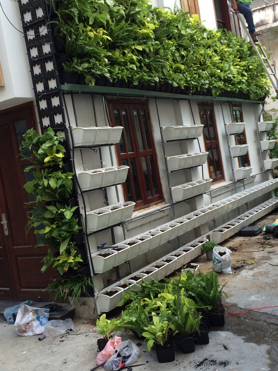 Vườn thẳng đứng-Xu hướng thiết kế nhà đẹp dẫn đầu hiện nay Vườn thẳng đứng-Xu hướng thiết kế nhà đẹp dẫn đầu hiện nay