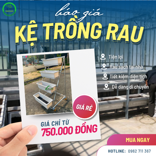 Báo giá Giàn trồng rau - Giải pháp làm vườn cho nhà ở đô thị