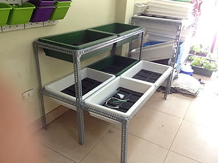 Bộ kệ trồng rau 6 chậu