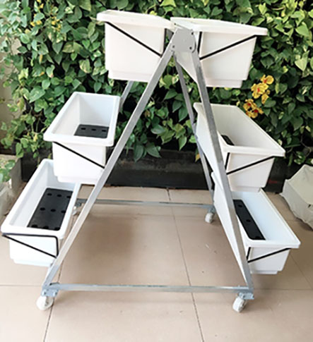 Kệ trồng rau di động tam giác 6 chậu