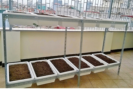 Giàn trồng rau 2 tầng 12 chậu Giàn trồng rau 2 tầng 12 chậu