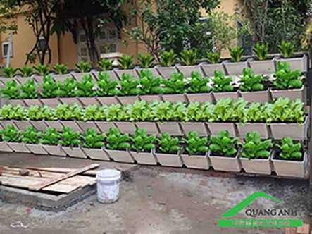 Thiết kế vườn rau trên sân thượng đẹp và hiệu quả-chuyên gia Quang Anh Thiết kế vườn rau trên sân thượng đẹp và hiệu quả-chuyên gia Quang Anh