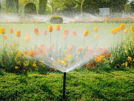 Nên đến địa chỉ nào để thực hiện thiết kế hệ thống tưới cây