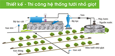 Hướng dẫn về hệ thống tưới nhỏ giọt thông minh giúp phân phối nước hiệu quả Hướng dẫn về hệ thống tưới nhỏ giọt thông minh giúp phân phối nước hiệu quả