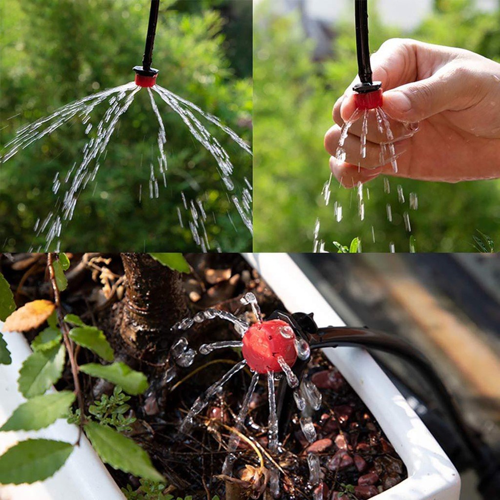 Chi phí lắp đặt hệ thống tưới nhỏ giọt cho vườn rau sạch có đắt không? Chi phí lắp đặt hệ thống tưới nhỏ giọt cho vườn rau sạch có đắt không?