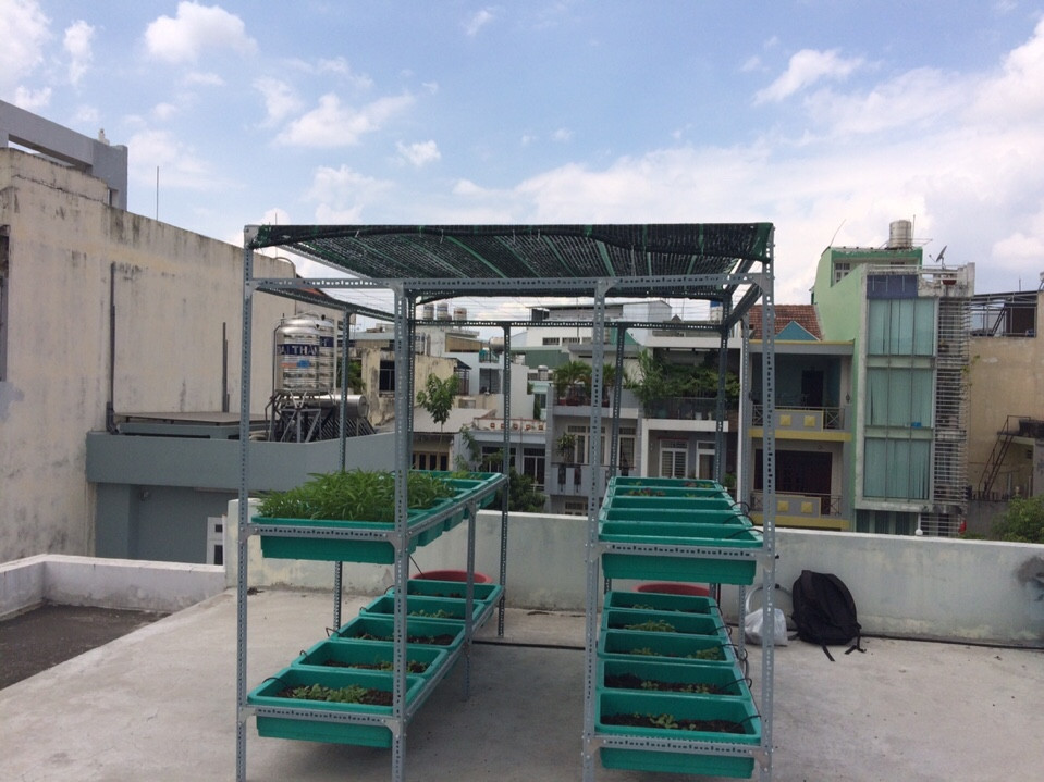 Thi công kệ trồng rau sạch đa dạng kích thước tiết kiệm không gian Thi công kệ trồng rau sạch đa dạng kích thước tiết kiệm không gian