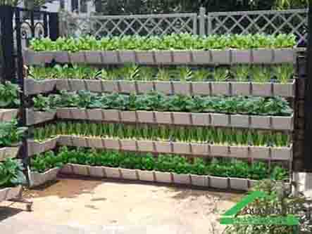 Những sản phẩm cần thiết cho việc trồng rau sạch đạt hiệu quả cao nhất Những sản phẩm cần thiết cho việc trồng rau sạch đạt hiệu quả cao nhất