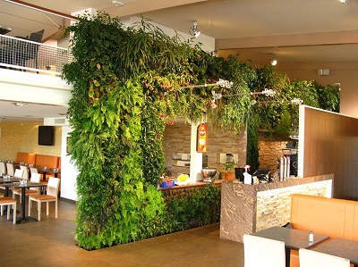 Vườn tường đứng trang trí trong nhà hàng, khách sạn, quán café Vườn tường đứng trang trí trong nhà hàng, khách sạn, quán café