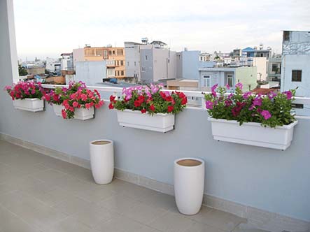 Mua chậu nhựa trồng cây giá rẻ và chất lượng-hãy gọi ngay 0962 711 367