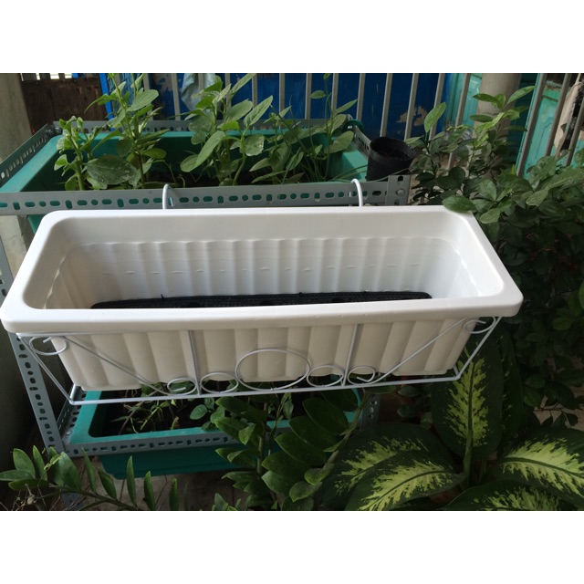 Lý do công ty Quang Anh là địa chỉ bán chậu nhựa trồng cây giá rẻ Lý do công ty Quang Anh là địa chỉ bán chậu nhựa trồng cây giá rẻ