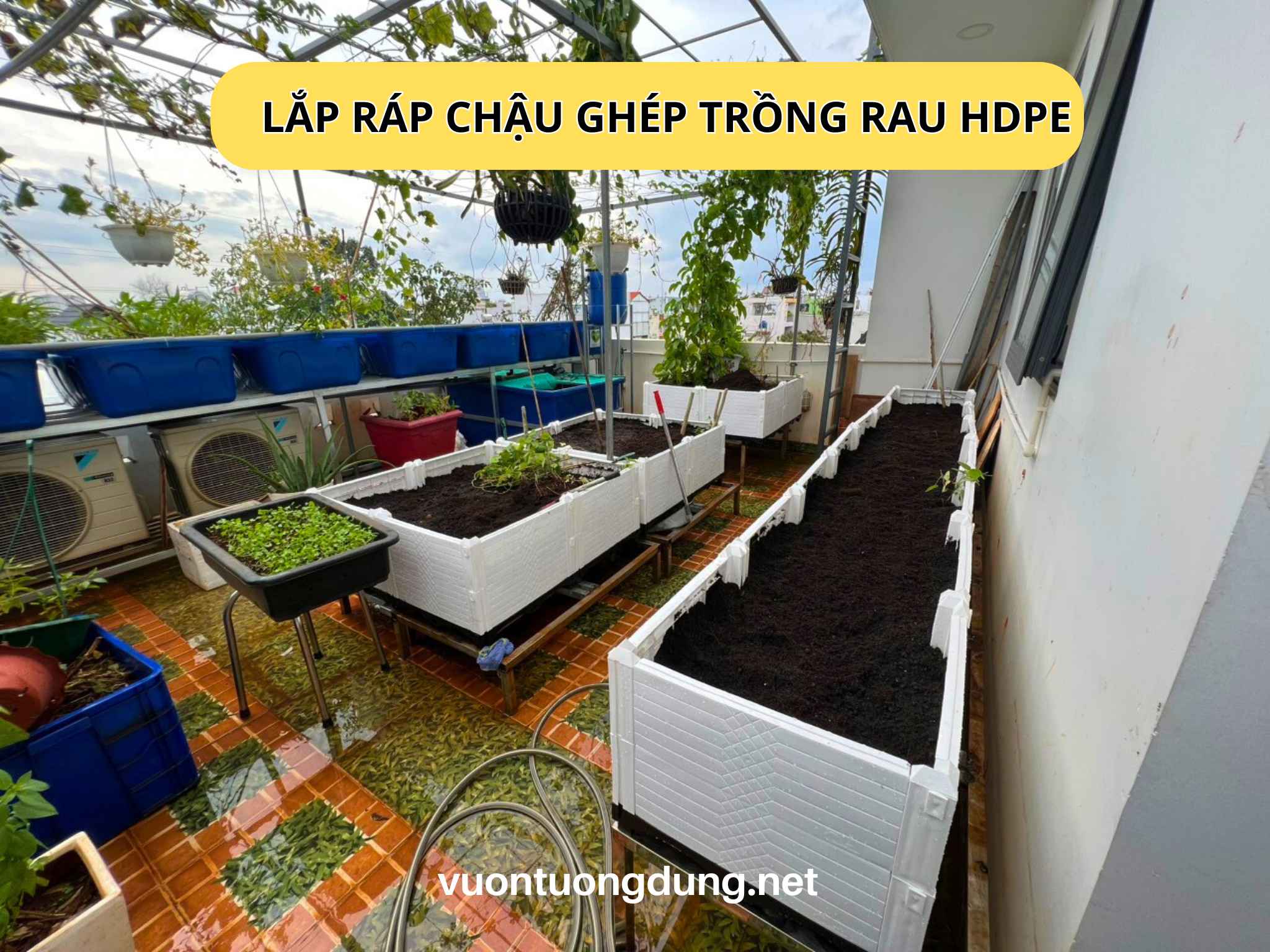 Lắp ráp chậu ghép thông minh HDPE cho vườn rau sạch tại HÓC MÔN Lắp ráp chậu ghép thông minh HDPE cho vườn rau sạch tại HÓC MÔN