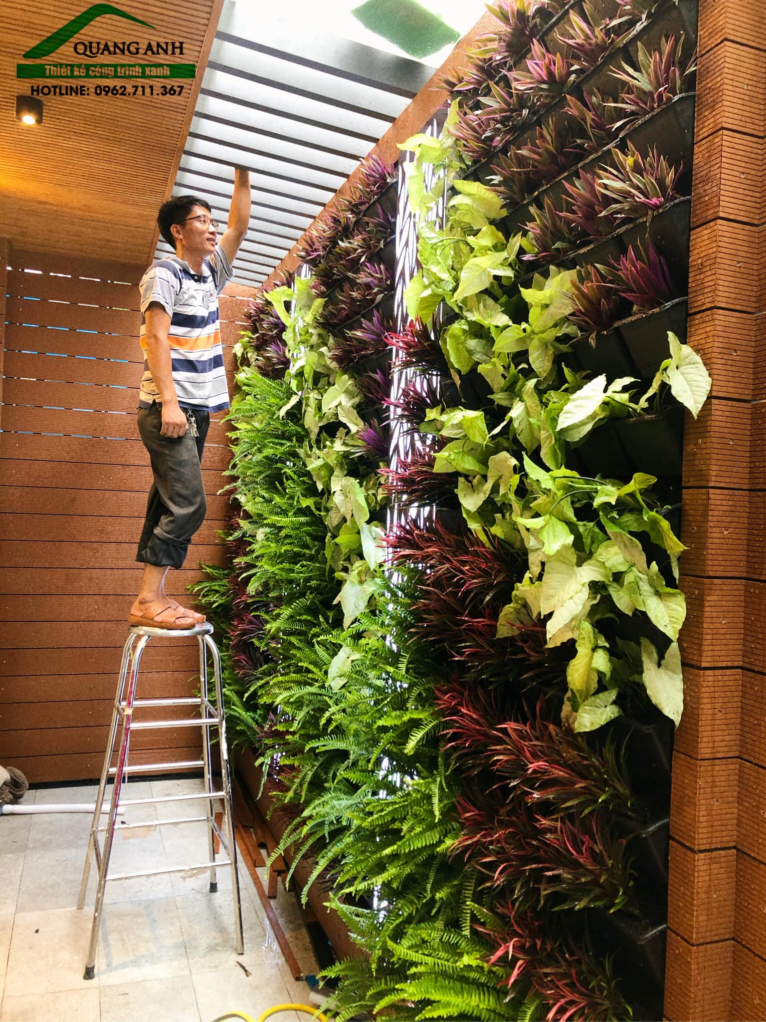 Tường cây trong nhà - Thiết kế và thi công tường cây văn phòng tại Hồ Chí Minh Tường cây trong nhà - Thiết kế và thi công tường cây văn phòng tại Hồ Chí Minh