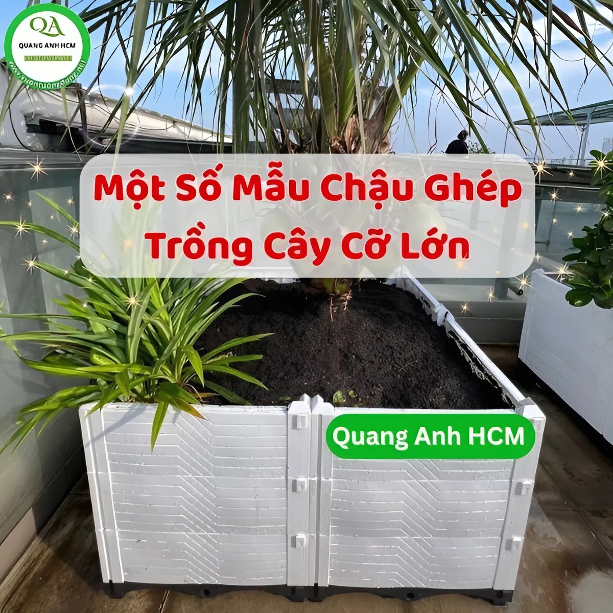 Một Số Mẫu Chậu Ghép Trồng Cây Cỡ Lớn Tiện Dụng Một Số Mẫu Chậu Ghép Trồng Cây Cỡ Lớn Tiện Dụng