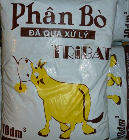 Phân bò hữu cơ, phù hợp mọi địa hình Phân bò hữu cơ, phù hợp mọi địa hình