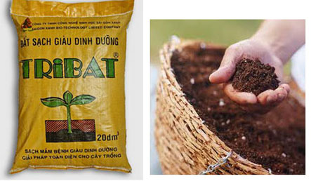 Địa chỉ bán phân bón cho rau sạch hiệu quả khi trồng tại nhà-Quang Anh Địa chỉ bán phân bón cho rau sạch hiệu quả khi trồng tại nhà-Quang Anh