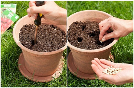 Phân bón cho rau sạch và địa chỉ cung cấp sản phẩm tốt nhất hiện nay Phân bón cho rau sạch và địa chỉ cung cấp sản phẩm tốt nhất hiện nay