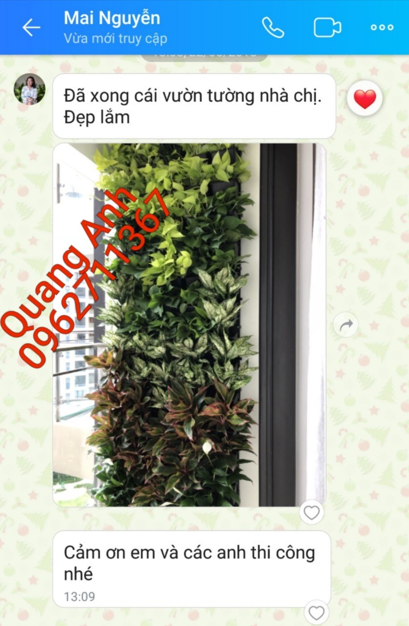 Không gian xanh mát với vườn tường đứng giữa Sài Gòn tấp nập Không gian xanh mát với vườn tường đứng giữa Sài Gòn tấp nập