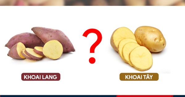 Khoai lang và khoai tây: Loại nào tốt cho sức khỏe hơn? Khoai lang và khoai tây: Loại nào tốt cho sức khỏe hơn?
