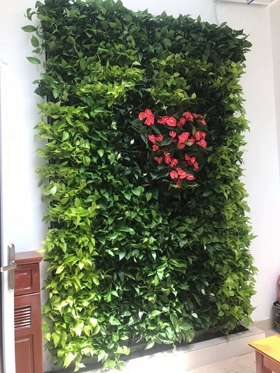 Thi công vườn tường đứng trong nhà – Quận 1 Thi công vườn tường đứng trong nhà – Quận 1