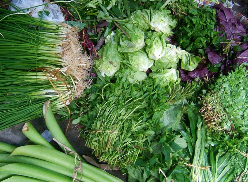 Giải pháp đặc trị rau bẩn trên thị trường hiện nay Giải pháp đặc trị rau bẩn trên thị trường hiện nay