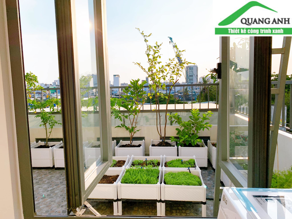 Cách tiết kiệm tối đa tiền bạc và diện tích với chậu ghép Quang Anh HCM