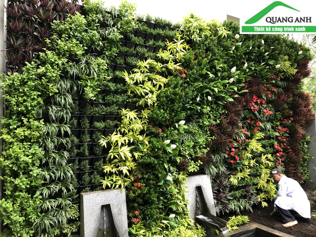 Quang Anh HCM - Thi công vườn tường đứng đẹp, giá rẻ tại Nguyễn Trọng Tuyển, Quận Phú Nhuận Quang Anh HCM - Thi công vườn tường đứng đẹp, giá rẻ tại Nguyễn Trọng Tuyển, Quận Phú Nhuận