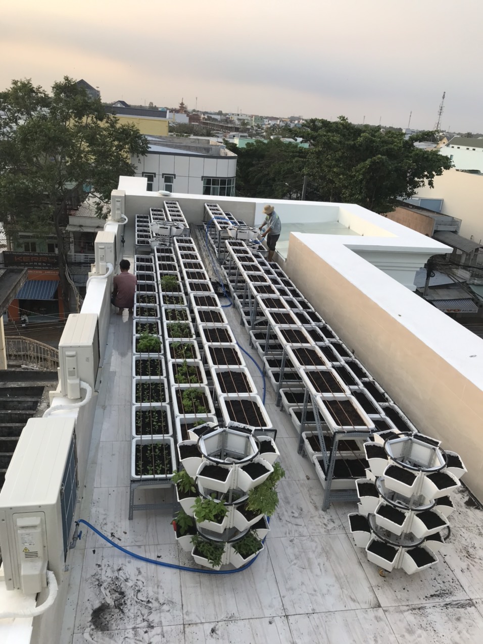 Thiết kế vườn trên mái đẹp tại Sóc Trăng Thiết kế vườn trên mái đẹp tại Sóc Trăng