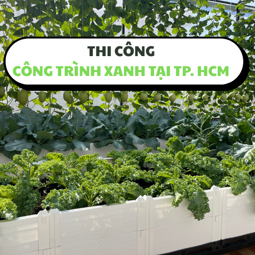 THI CÔNG VƯỜN RAU, VƯỜN TƯỜNG CÂY TRỌN GÓI ĐÓN TẾT 2026