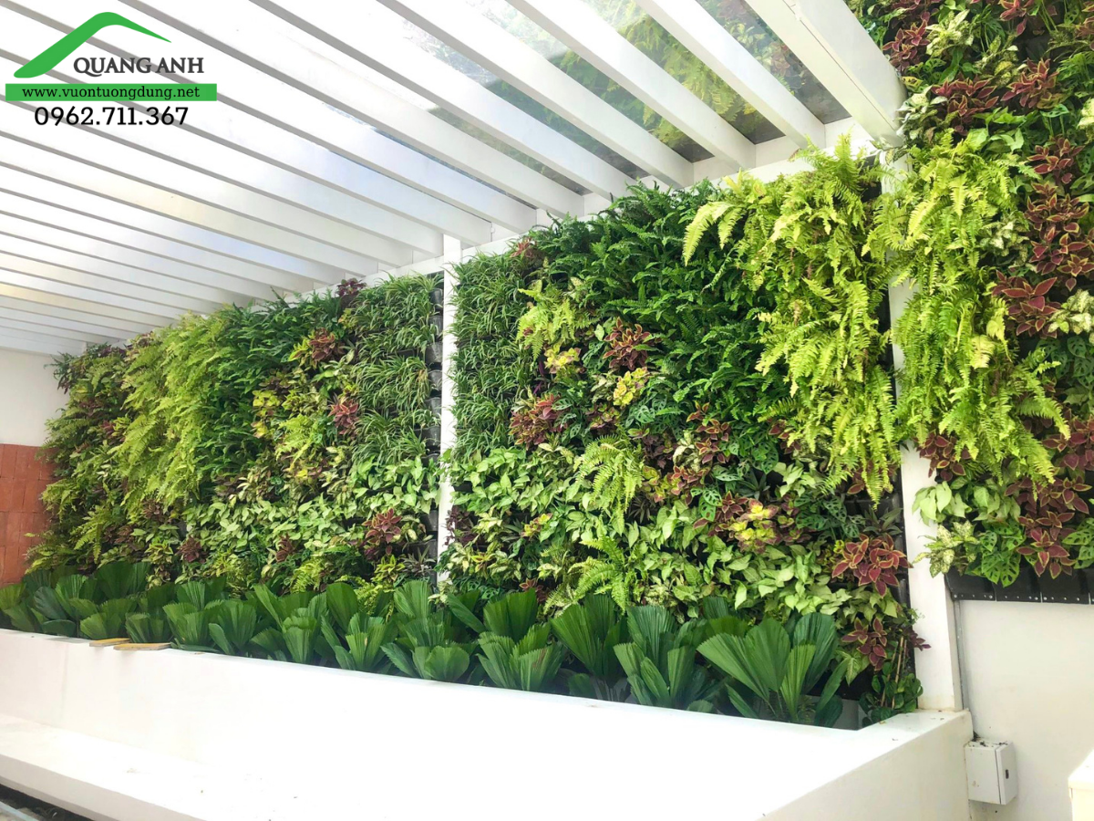 Thiết kế, thi công tường cây xanh trong nhà tô điểm vẻ đẹp của bức tường Thiết kế, thi công tường cây xanh trong nhà tô điểm vẻ đẹp của bức tường