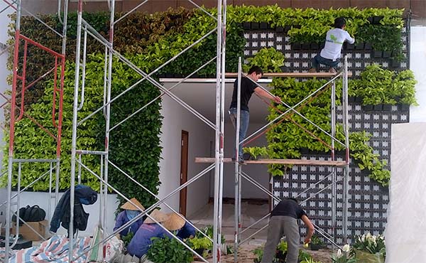 Địa chỉ thi công tường cây tốt nhất hiện nay-Công ty Quang Anh HCM Địa chỉ thi công tường cây tốt nhất hiện nay-Công ty Quang Anh HCM