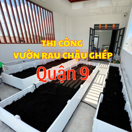 THI CÔNG VƯỜN RAU CHẬU GHÉP TẠI QUẬN 9