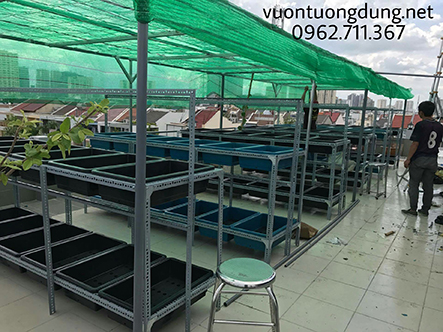 Thi công vườn rau sạch tại nhà số 5 đường 31C Khu Đô Thị An Phú, An Khánh, Quận 2, TP. Hồ Chí Minh