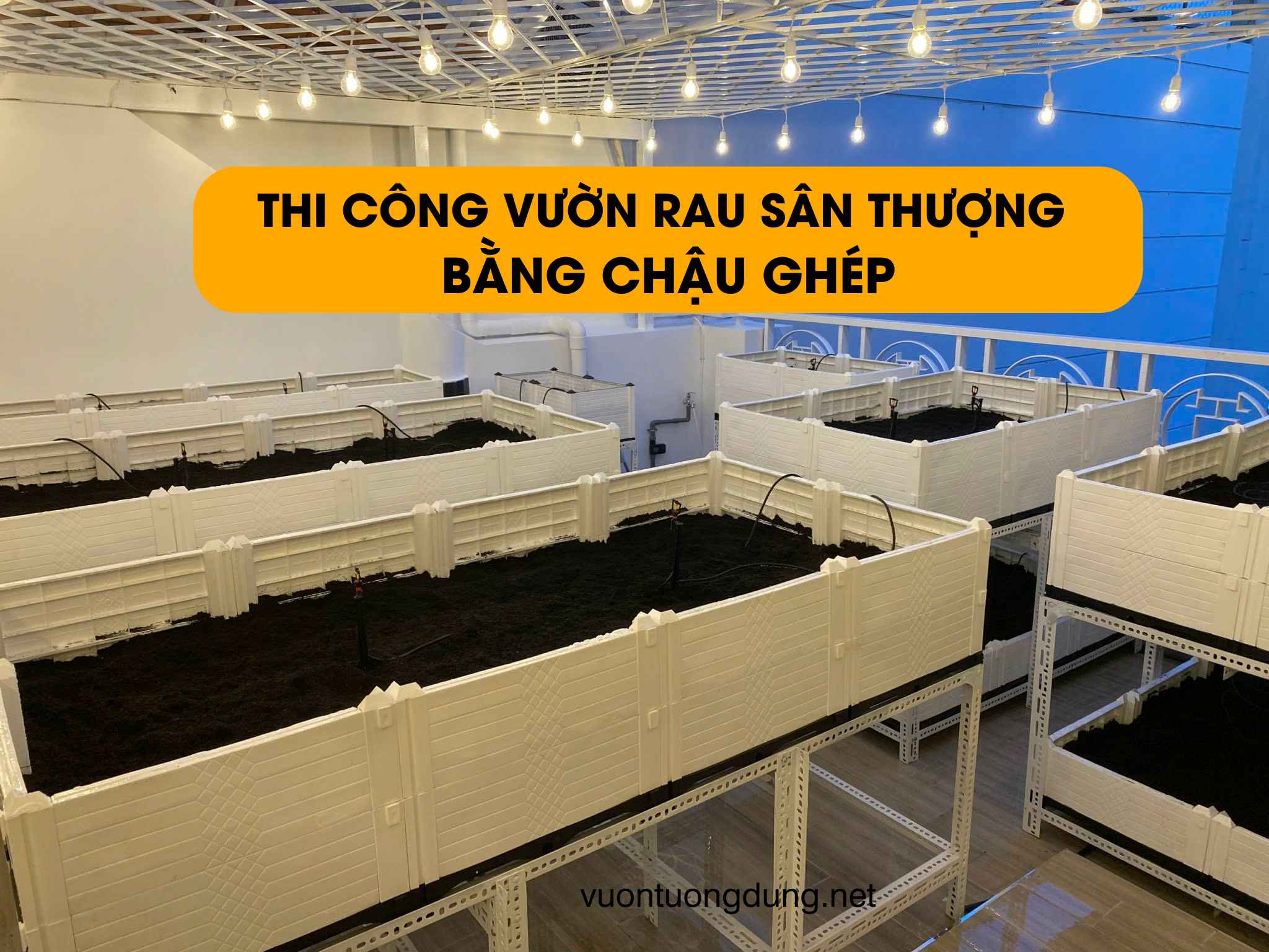 Thi Công Vườn Rau Sạch Sân Thượng Bằng Chậu Ghép Thông Minh Thi Công Vườn Rau Sạch Sân Thượng Bằng Chậu Ghép Thông Minh