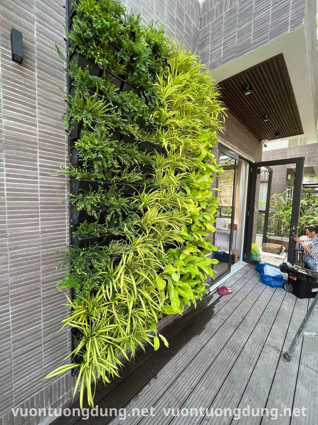 Vườn Tường Xanh Trong Nhà Đẹp, Dễ Chăm Sóc Vườn Tường Xanh Trong Nhà Đẹp, Dễ Chăm Sóc