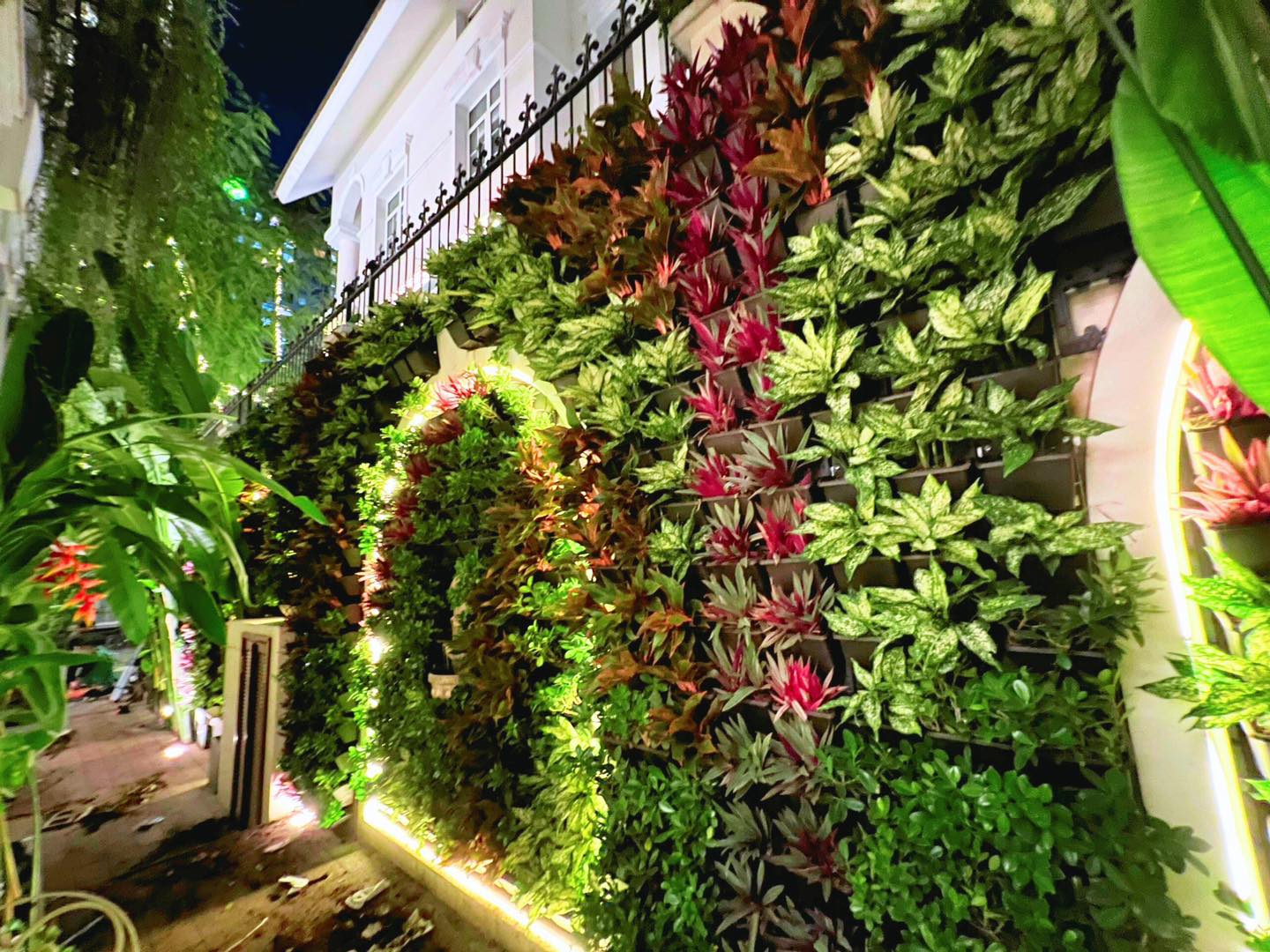 Bộ chậu treo tường làm vườn tường đứng - Chậu trồng cây trên tường Bộ chậu treo tường làm vườn tường đứng - Chậu trồng cây trên tường