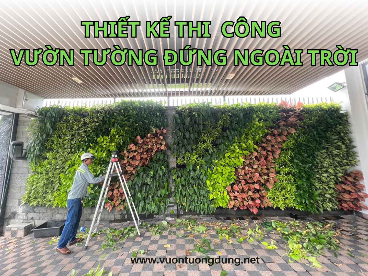 Thiết Kế, Thi Công Tường Cây Xanh Ngoài Trời Chuyên Nghiệp Thiết Kế, Thi Công Tường Cây Xanh Ngoài Trời Chuyên Nghiệp