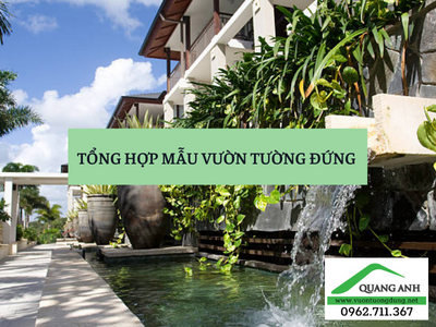 Tổng hợp những mẫu vườn tường tuyệt đẹp Quang Anh HCM đã thi công Tổng hợp những mẫu vườn tường tuyệt đẹp Quang Anh HCM đã thi công