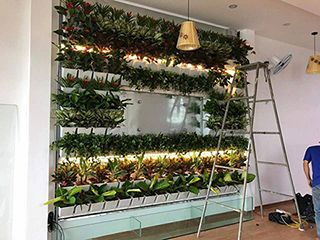 Công ty thiết kế và thi công vườn đứng đẹp và hiệu quả nhất với phong cảnh nhà bạn Công ty thiết kế và thi công vườn đứng đẹp và hiệu quả nhất với phong cảnh nhà bạn