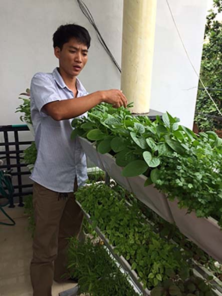 Những lợi ích đến từ việc trồng rau sạch tại nhà