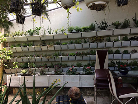 Địa chỉ bán vật liệu làm vườn thẳng đứng chất lượng và giá rẻ Địa chỉ bán vật liệu làm vườn thẳng đứng chất lượng và giá rẻ